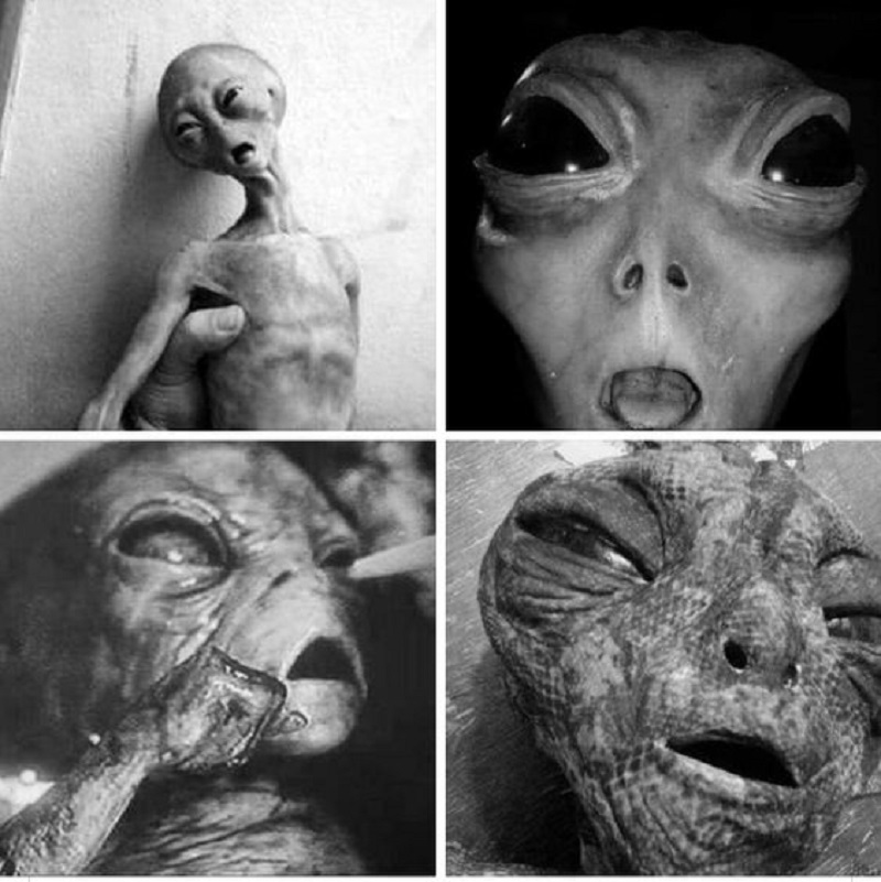 Tales of Alien Kidnappings and Experimentation Tales of Alien Kidnappings and Experimentation