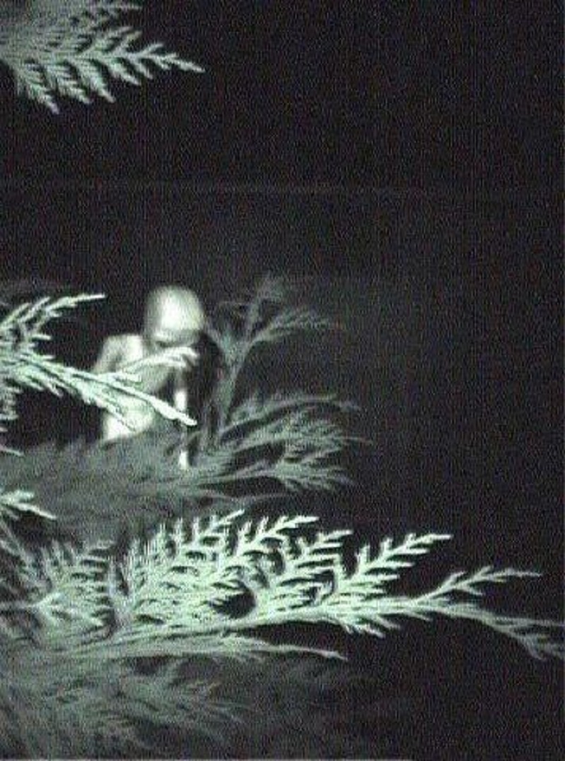 Tales of Alien Kidnappings and Experimentation Tales of Alien Kidnappings and Experimentation