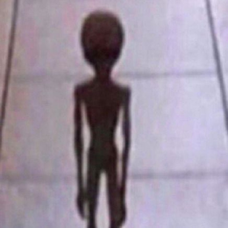 From Roswell to Rendlesham Forest: Famous UFO Incidents From Roswell to Rendlesham Forest: Famous UFO Incidents