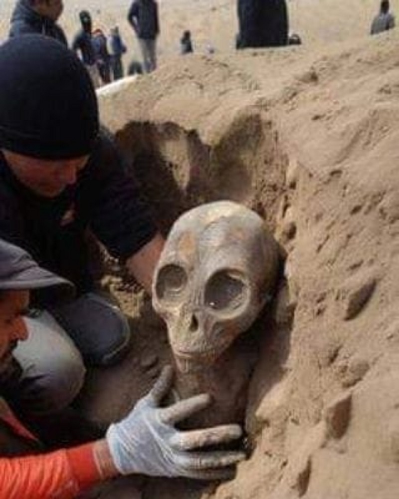 Alien Skeletons Examining the Elusive Evidence Alien Skeletons Examining the Elusive Evidence